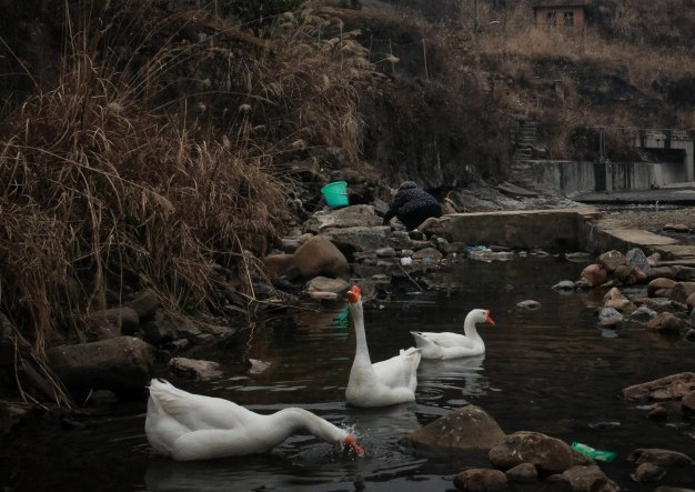 سԵʮʳ